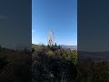 Огромное Колесо Обозрения Тбилиси 🥰 Huge Wheel in Tbilisi