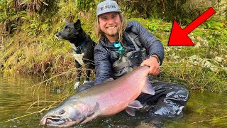 The Biggest COHO Salmon Of MY LIFE! (Exploring New River!!)