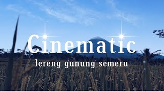 cinematic lereng gunung semeru