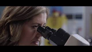 Get More Hands-On Experience With Westervelt College
