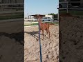 don‎https://youtube.com/shorts/2wRh6MYWjmM?si=T6_P_z1aVh2nm07HNeentara 🤣Bugatti Trend#trending#viral