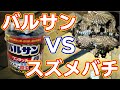 【危険】バルサン VS スズメバチ 【素人が屋根裏の蜂の巣、駆除してみた】絶対マネはしないで!!プロに頼もう!