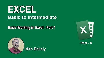 5. Basic Working in Excel 2013 Part 1 Urdu Tutorials by Irfan Bakaly