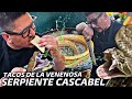 Tacos de la venenosa serpiente cascabel