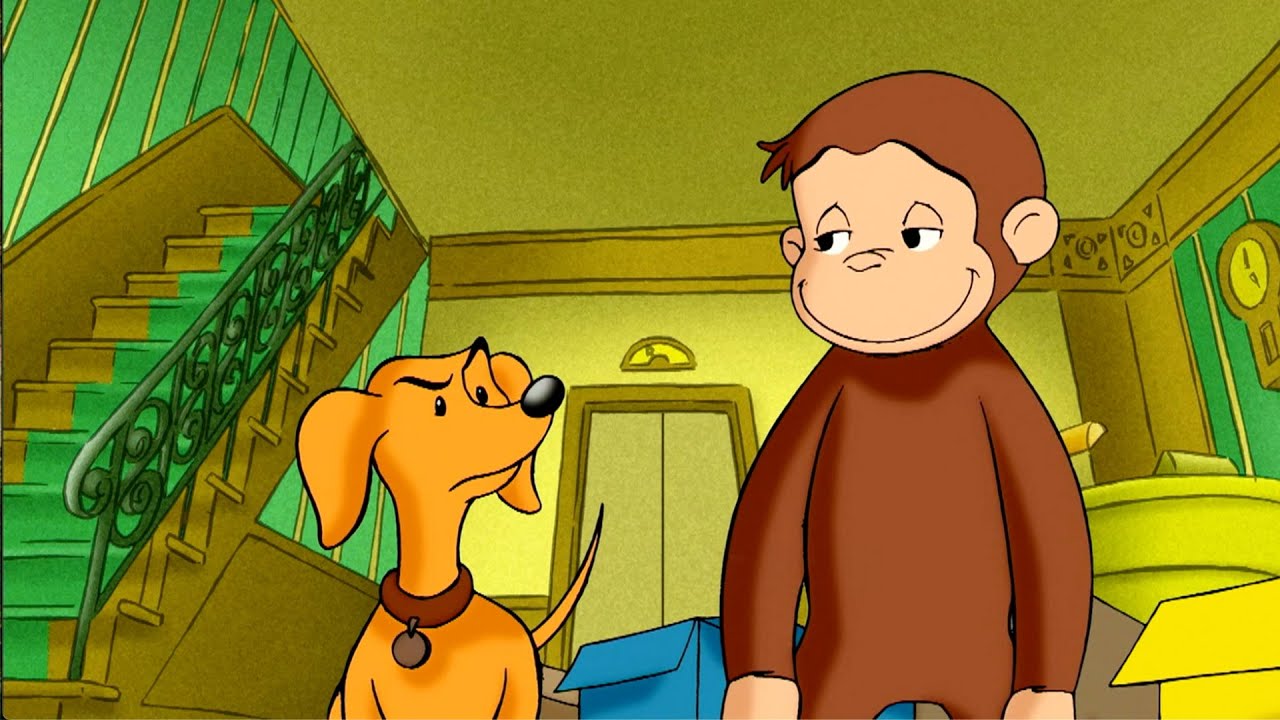 ¡La entrega desastrosa de Jorge!| Jorge El Curioso | Dibujos Animados en Español