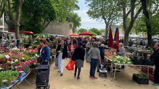 Pour ou contre le retour du marché du samedi matin de Carcassonne en coeur de ville ?