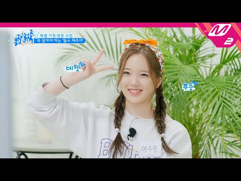 홀리데이제주