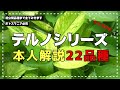 ポトス【terunoworld】テルノシリーズ徹底解説
