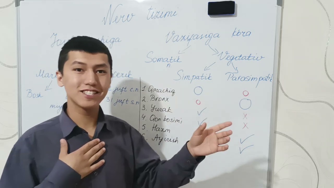 Avtonom (vegetativ) nerv sistemasi