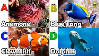 ABC phonics animals | English and Animals for Kids #angelfishs