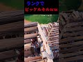 チャンピオン帯ランクマッチでまさかのツルハシキル【フォートナイト】