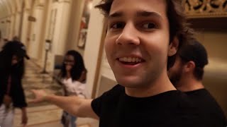 They Followed Us Home David Dobrik