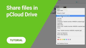 How to share large files from pCloud Drive