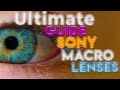 Best 5 Sony Macro lenses you need to get Today|Top 5 Ranked Sony Macro