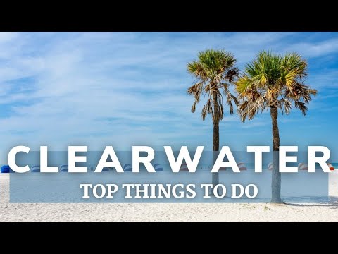 Top 5 Things to Do on a Clearwater Beach Day Trip