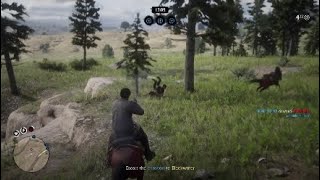 Red dead redemption 2: Online killing asshole following us