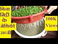 बिना मिट्टी के मैथीकी सब्जी | पानी में | Grow Hydroponic or without soil Methi