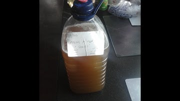 Making A Mead: Part 2