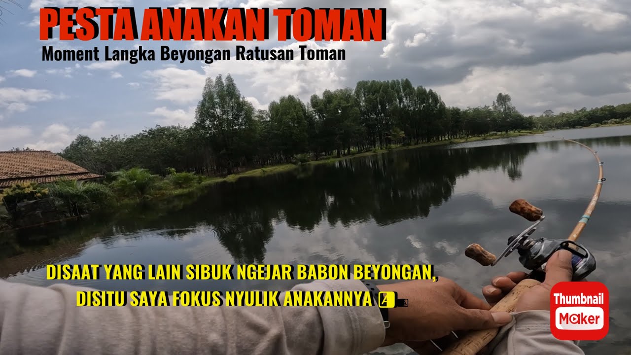 MOMENT LANGKA STRIKE PULUHAN TOMAN ‼️
