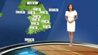 동해안 비(5~40mm)···중부·영남 내륙 소나기 (2014-08-26) / YTN 웨더
