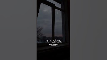 القارئ: عبدالرّحمٰن مسعد | لا إلٰه إلّا اللّٰه محمّد رسول اللّٰه