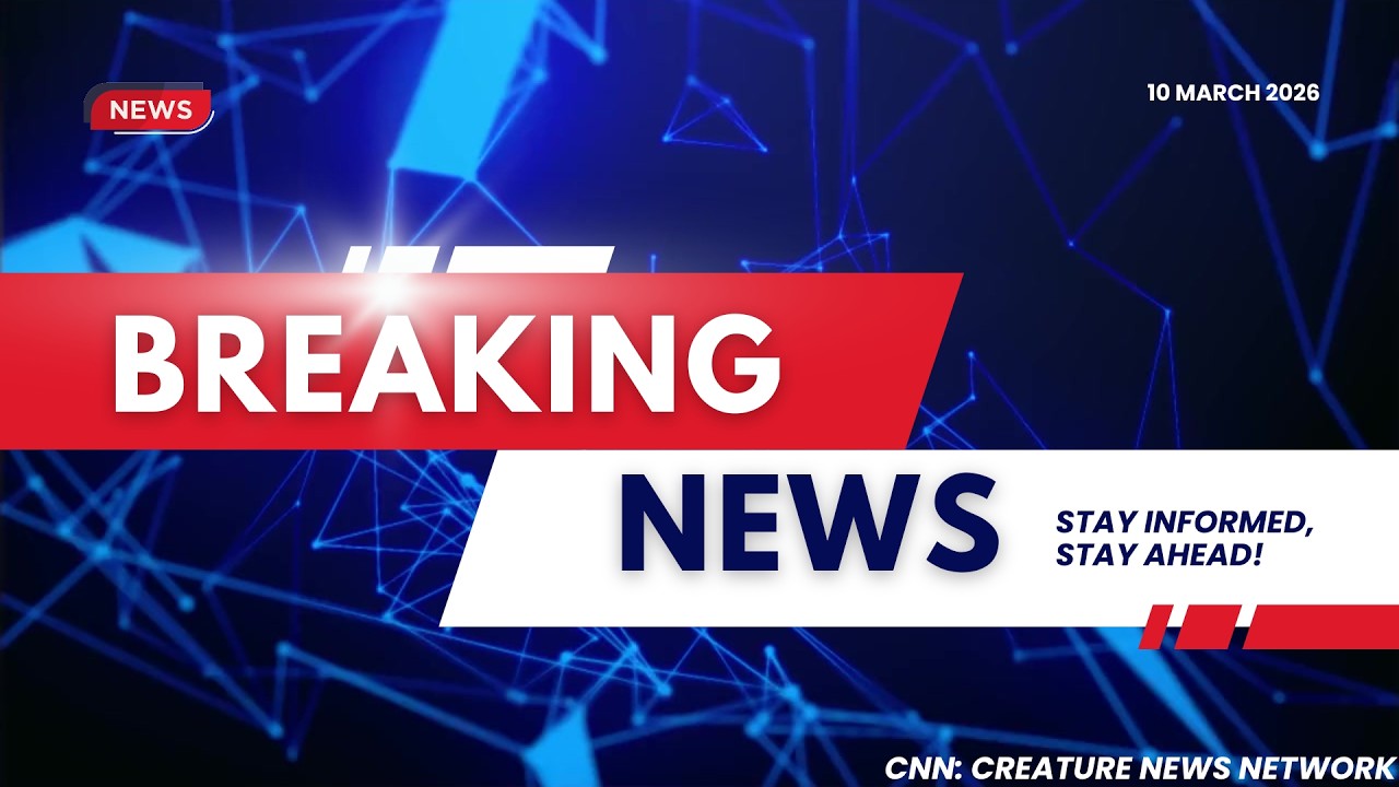 MMM 2026 Wild Card Battle Recap