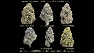 THCA Hemp Industry Documentary | Flower, Concentrates & Cannabinoids