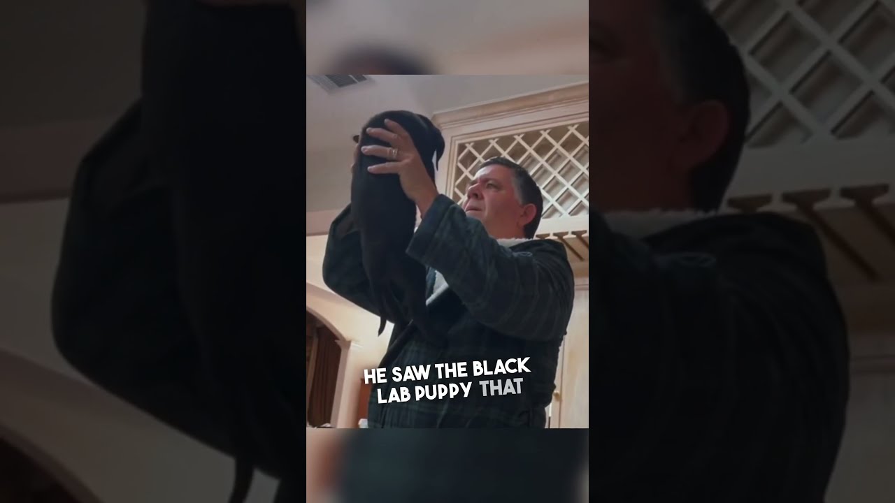 They Got Their Dad A Puppy After His Dog Passed Away 