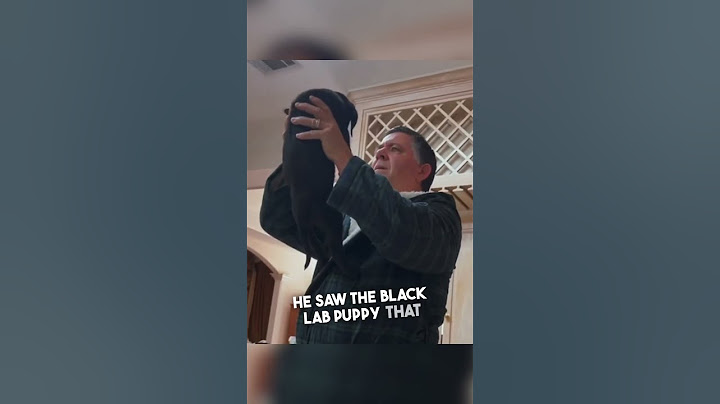 They got their dad a puppy after his dog passed away ❤️