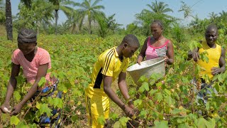 5ème édition des journées de l'Agroécologie du Sénégal : les acteurs se veulent des solutions...
