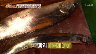 갈치 한 마리에 5만 원! 대물의 자태! [야인시대] 3회 20171121