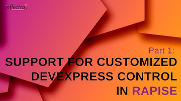 Part 1: Support for Customized DevExpress Controls in Rapise