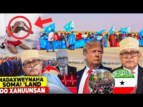 Gabadh Garxajis Ah Oo Sir Culus Kashiftay somaaliland iyo cirro Dhagayso