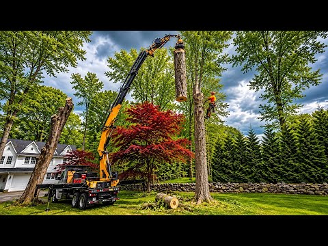 This Truck Makes HUGE Trees Disappear!