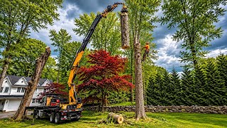This Truck Makes HUGE Trees Disappear!
