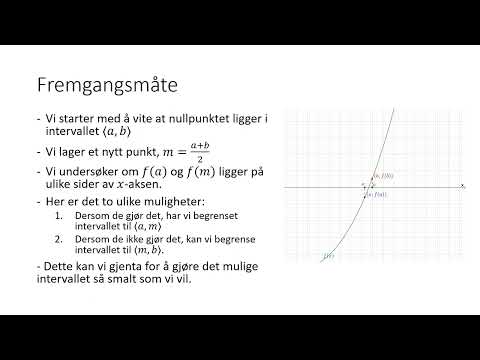 R1 - Halveringsmetoden (programmering)