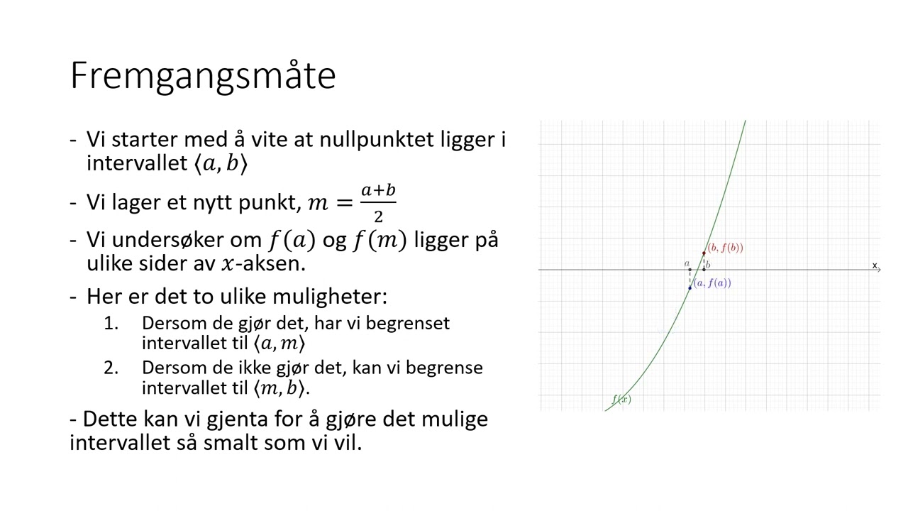 R1 - Halveringsmetoden (programmering)