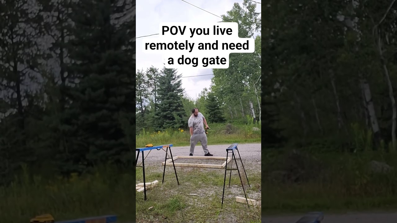 Remote living problems require DIY solutions! 🐕🔨 