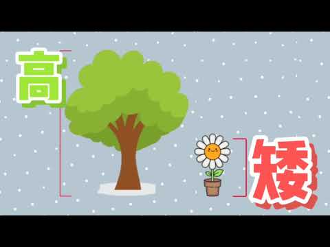 分辨高矮 - YouTube