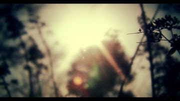 Skeleton With Eyes - In My Way