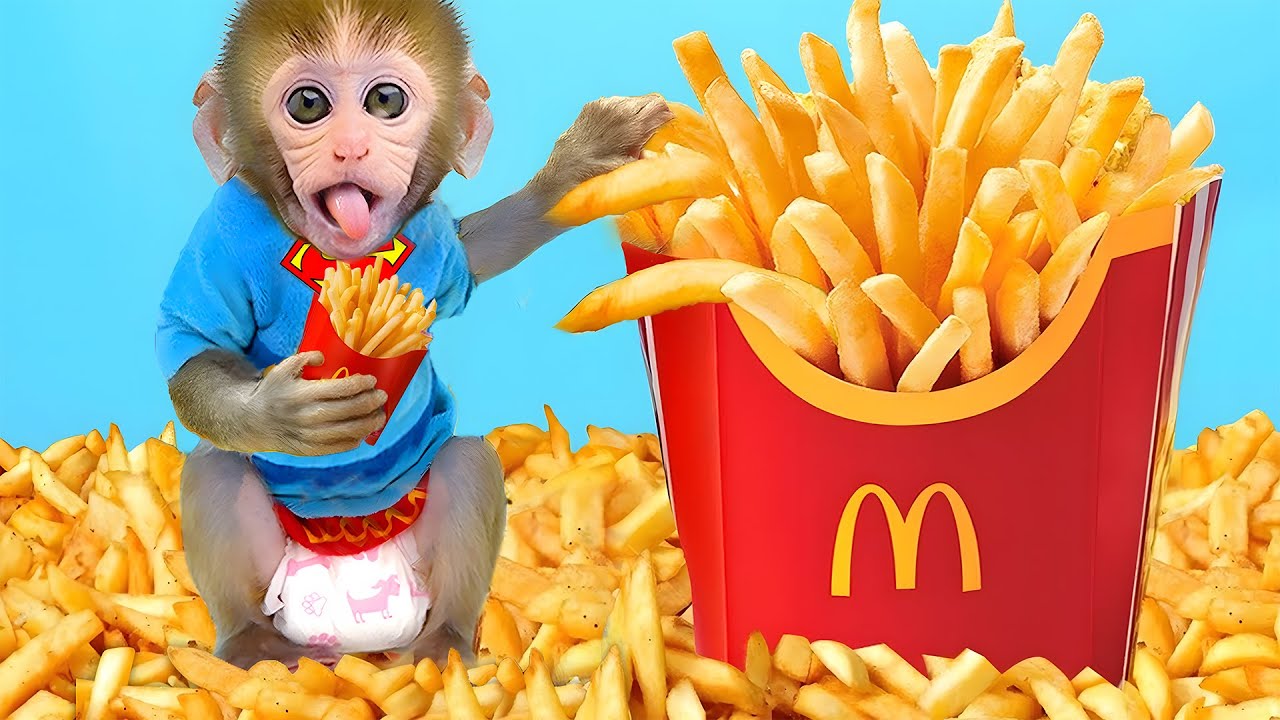 Affe Bon Bon isst Snacks mit Welpen und geht mit Entenküken auf die Farm | BONBON GERMAN