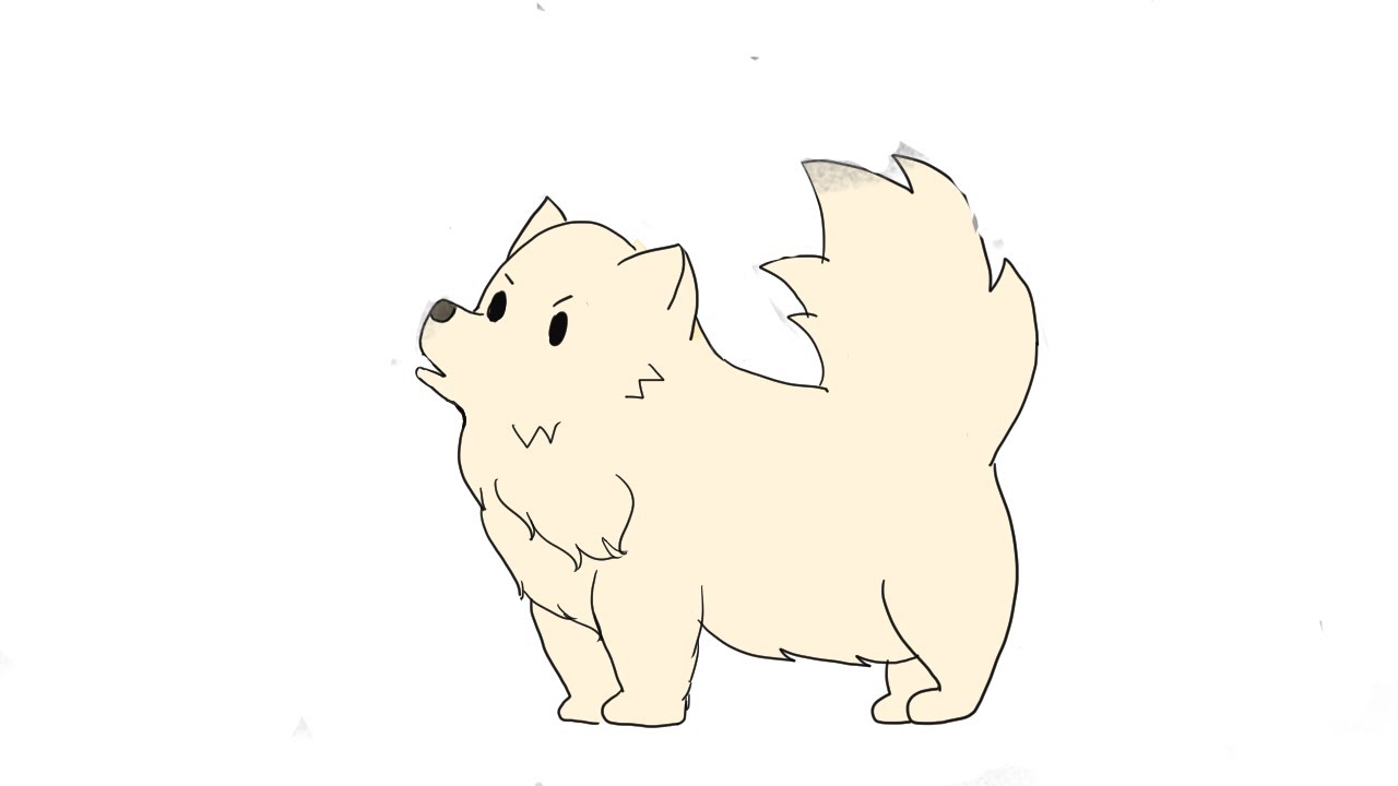 Bnha Animals: Bakugou Katsuki Dog Animation - YouTube