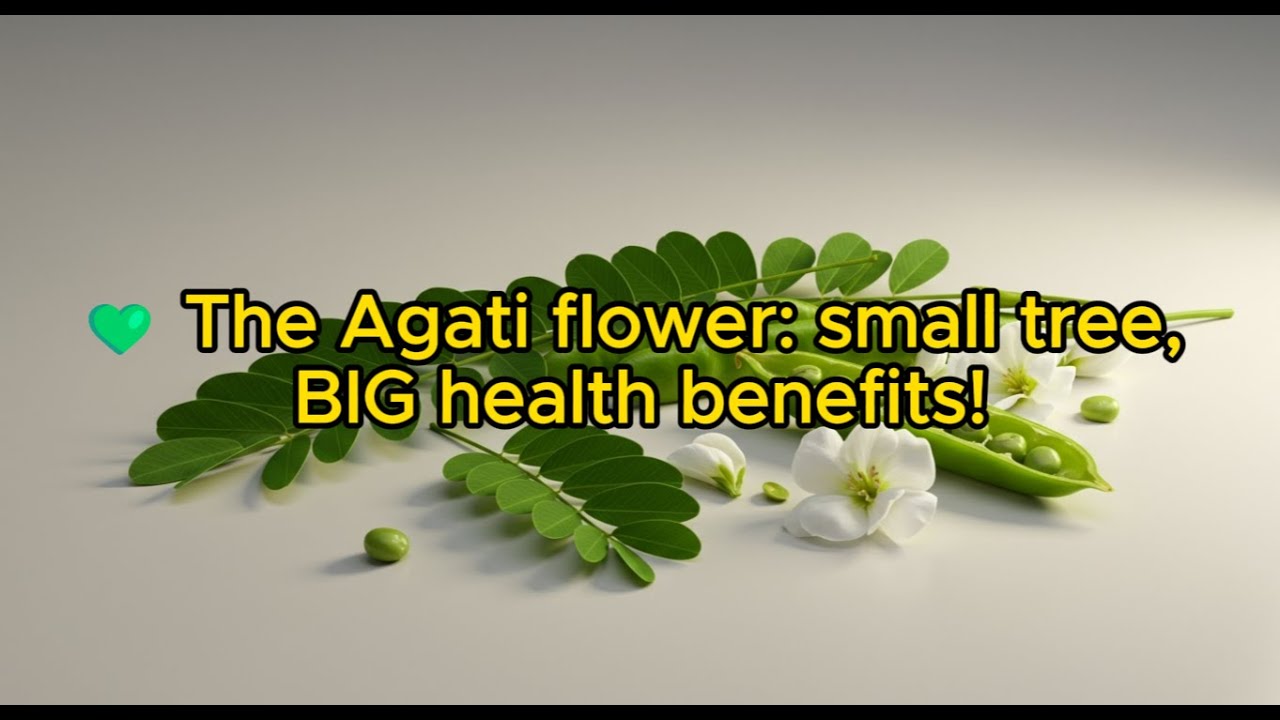 🌸 Ever seen a flower that you can EAT? Meet Sesbania Grandiflora!//Snack and Cure