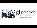 Pandas is The go‑to Workhorse For Python Data Tasks#python #datascience #shorts #france