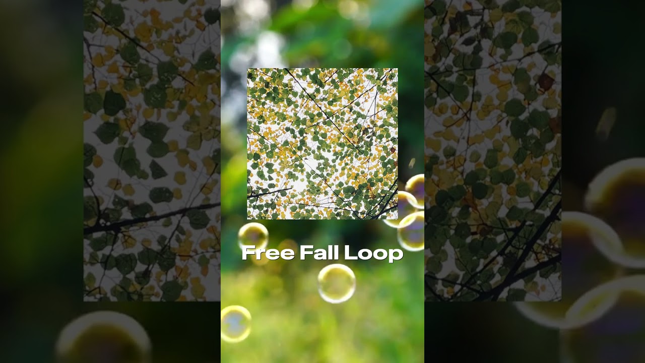 Free Fall Loop (Single) - Wind Temple bekijken op YouTube Free Fall Loop (Single) - Wind Temple bekijken op YouTube