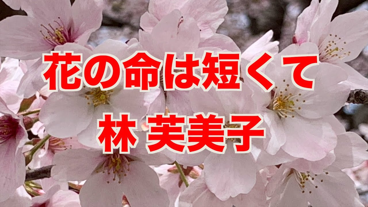 武蔵村山バイブルチャンネル 花の命は短くて Youtube