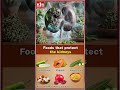 Top 6 Superfoods to Protect and Support Your Kidney Health Naturally