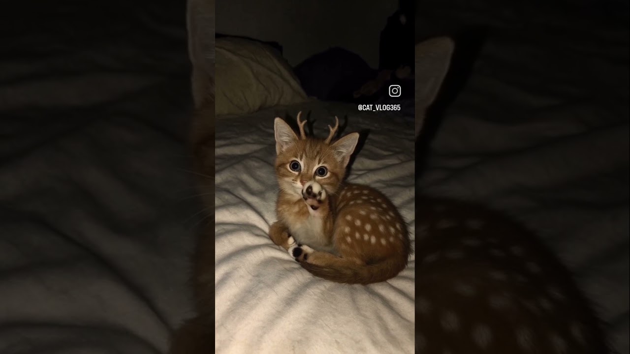 when silence feels warm 🤍