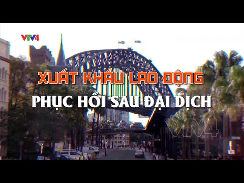 Video Xuất khẩu lao động phục hồi sau đại dịch | VTV4 - youtube