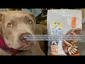 Visionary low carb dog food  review